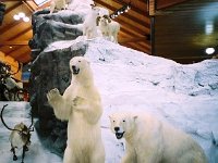 photos 2000-200901010